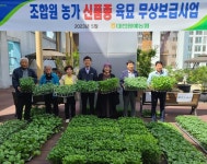 대전원예농협, 신품종 육묘  무상보급