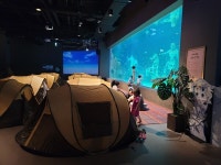 대전신세계-대전관광공사, 사이언스 나이트 캠프 참가자 모집