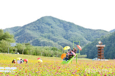 청송군 산소카페 청송정원 내달 1일 공식 개장
