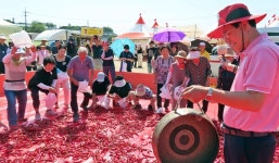 주말에 청양 가야하는 이유...청양 고추·구기자 문화축제 개막