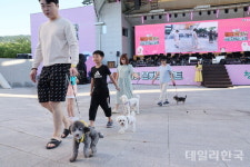 반려동물과 함께 클래식 음악 감상...2023 청도 펫티켓 문화콘서트 성료