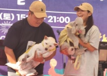 해피아워 골목페스타로 진해충장로 상점가 들썩