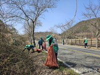 청도군 운문면새마을3단체, 운문댐 벚꽃둘레길 환경정화 활동