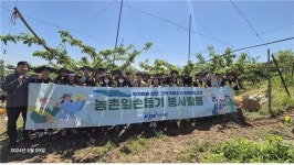 전력거래소, 반디봉사단 농번기 맞이 배 열매솎기 일손돕기 참여