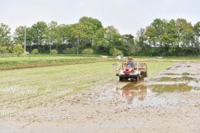 담양군, 영세 고령농가 맞춤 경영안정 지원
