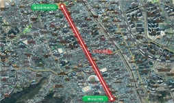 대전 중구, 2024년 가로수 조형전정 실시