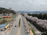 경북도, 산림청 우수 관리 가로수길 최다 선정