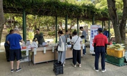 계룡시, 한가위맞이 농산물 홍보판매전