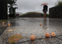 [오늘(21일)의 날씨] 전국에 많은 비…높은 풍랑·너울 주의해야