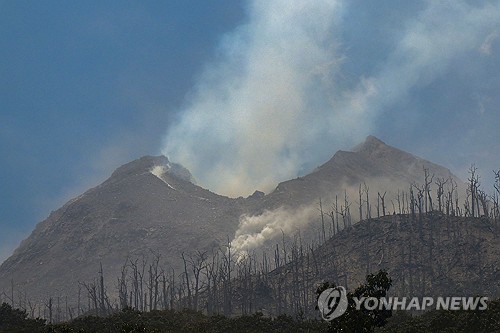 발리행 항공편 취소…인도네시아 르워토비 라키라키 화산 폭발에 여행객들 불안