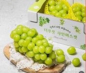 상주시 서상주농협, 마켓컬리와 손잡고 11~18일까지 샤인머스켓 판촉 행사