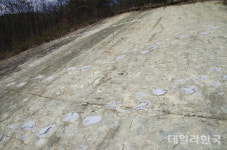 청송군, 신성리 공룡발자국 화석산지 생태복원 나선다