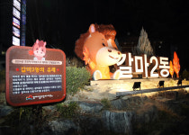 대전 서구 갈마2동, 갈마루 야간 조명 설치해 랜드마크로 변신
