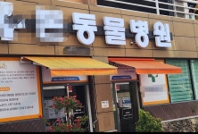 수술비 고지위반에 과다 청구한 순천 동물병원...표준화 시급