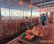 문경시, 구제역 차단 백신 접종 31일까지