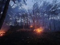 경남에서 또 산불…21일 오후 하동 옥종면 야산에 산불 발생