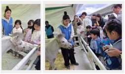 렛츠런파크 부산경남, 강서 벚꽃축제서 말산업 알리며 시민과 소통