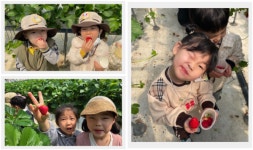 울산 남구, 친환경 농장 체험 통해 바른 식습관 교육 강화