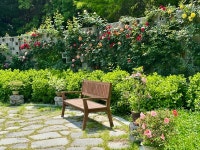 여름의 문턱…경남수목원 향기정원 초여름 정취 물씬