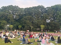 담양군, 2025 담빛시네콘서트개최