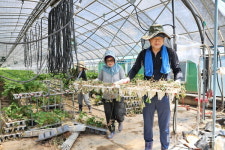 의성군의회, 경남 합천군 수해복구 지원...성금도 전달