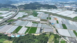 성주2일반산업단지 연결도로 4일부터 임시 개통