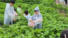 대전 대덕문화관광재단 팜스테이 인기
