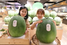 롯데백화점 광주점, 무등산 수박 선봬