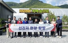 대구시의회, 도동 측백나무숲 관광 활성화 방안 모색
