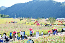 청송군, 산소카페 청송정원 9~11월 무료 개방