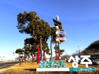 상주시, 명품 가로수길 조성으로 도시경관 업그레이드