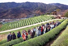 경남·전남도, 섬진강 스테이 관광 특화상품 육성 본격화
