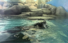 광주 우치동물원 동물가족들, 설 특식 잔치