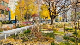 부산 동구, 생활권 정원 조성 확대