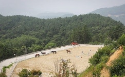  [2017 대한민국 스타 브랜드 대상] 종합우수상 : (주)골든쌔들 ‘골든쌔들’ 
