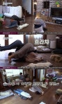  효리네민박2 이효리, 이상순·윤아에 허약한 인간들…폭소 