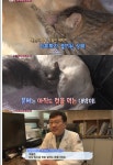  동물농장 고양이 키우는 개…개는 상상임신에 탁월해 