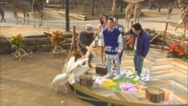  동물농장 MC 토니안, 펠리컨에 먹이주던 중 손까지 먹힐 뻔 깜짝 