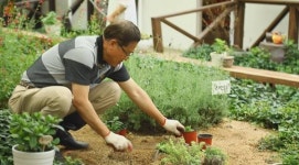 동물농장 고양이 뿌용이·마루 밑 새끼강아지들, 어떤 반전 사연이? 