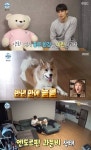 성훈 집 첫 공개 반려견 양희 위해 이사(나혼자산다)