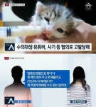 유튜버 갑수목장, 고양이 구입·학대 의혹에 술 취해 한 말…학대 아냐