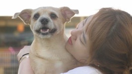 동물농장 하은이와 낑꽁이의 동화 같은 만남…2년만의 근황 관심