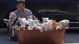 동물농장 풍산개 꼬물이가 무려 19마리? 귀여움 폭발