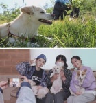동물농장 마마무 솔라·문별, 셀럽 절미 만나다+해외 입양견들 사연까지 뭉클