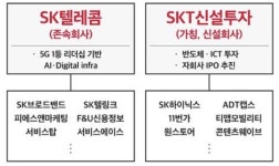 SK텔레콤, 통신사업과 비통신사업 인적분할 결의…5대 1 주식 액면분할도 추진