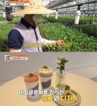 서민갑부 네잎클로버 농장으로 연 매출 16억원 달성한 사나이