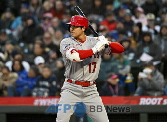 올시즌 AL MVP 누가… 오타니-저지 나란히 홈런포 가동