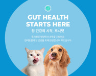 슈퍼 프리미엄 펫 사료 루시펫 한국 판매 개시