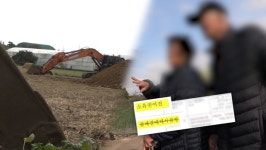 길고양이 꼬리 자르고 쇠막대로…유명 '셰프'의 두 얼굴 ('궁금한 이야기 Y')