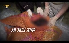 31번 국도의 얼굴 없는 남자…광치령 변사체 사건, 23년 만의 추적(그알)